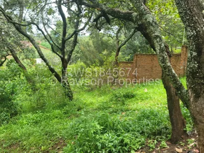 Land for Sale in Shawasha Hills