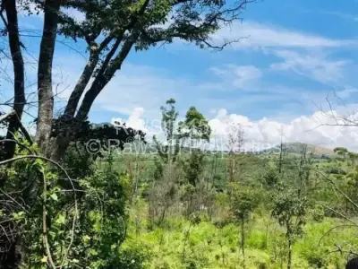 Land for Sale in Nyanga