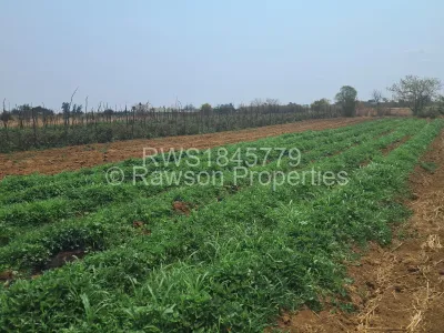 Farm for Sale in Kadoma