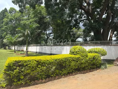 House For Sale in Marlborough