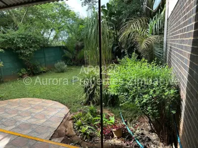 Flat/Apartment For Rent in Avondale