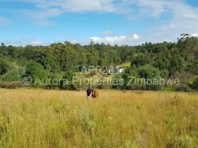 Farm/Plot For Sale in Nyanga