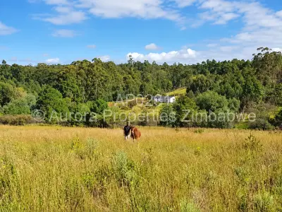 Farm/Plot For Sale in Nyanga