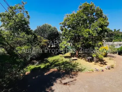 Flat/Apartment For Rent in Avondale