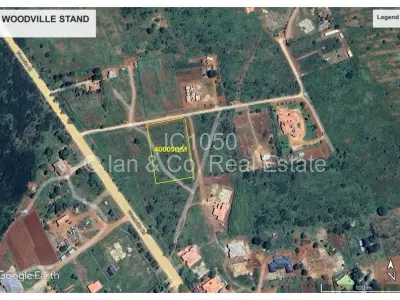 Stand for Sale in Woodville