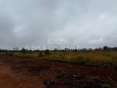 Stand for Sale in Woodville