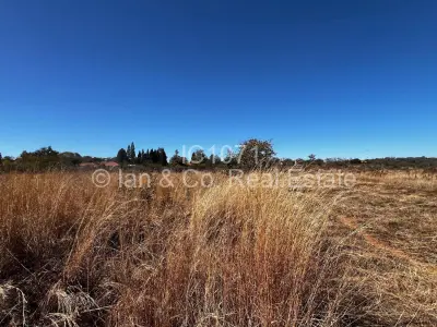Stand for Sale in Riverside North