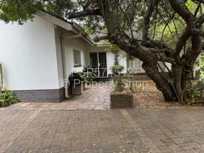 House For Rent in Alexandra Park