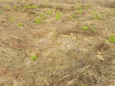 Residential Stand For Sale in Landyview Park