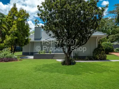 Office For Rent in Alexandra Park