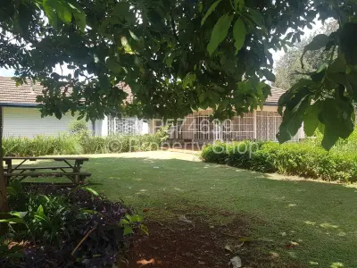 House For Rent in Mount Pleasant