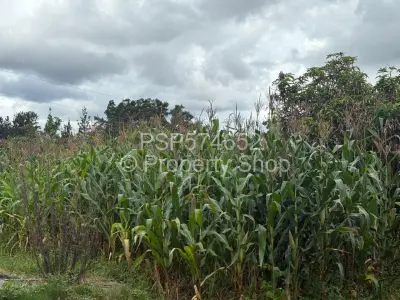 House For Sale in Hatfield