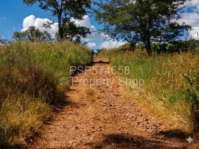 Farm/Plot For Sale in Glen Forest