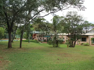 House For Rent in Avondale