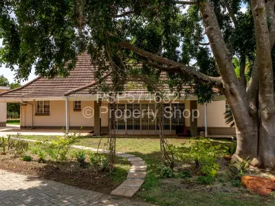 House For Rent in Mount Pleasant
