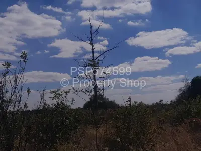 Farm/Plot For Sale in Seke
