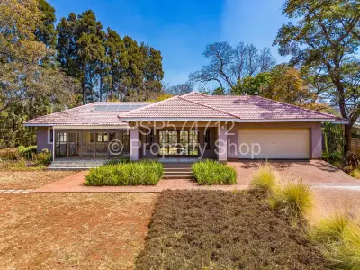 House For Rent in Chisipite