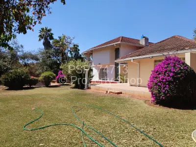 House For Sale in Alexandra Park
