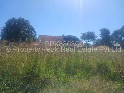 Stand for Sale in Zimre Park
