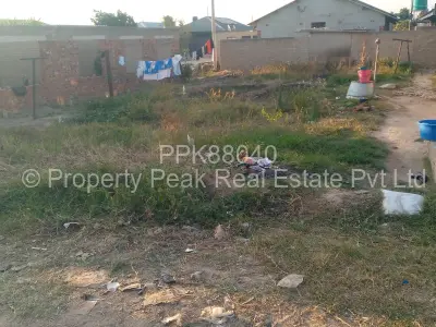 Stand for Sale in Southlea Park