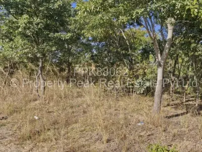 Stand for Sale in Arlington