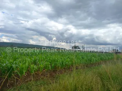 Farm/Plot For Sale in Norton