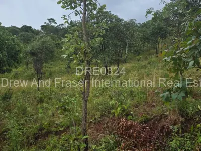 Residential Stand For Sale in Shawasha Hills