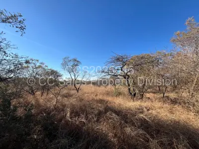 Land for Sale in Burnside