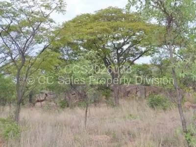 Residential Stand For Sale in Fortunes Gate