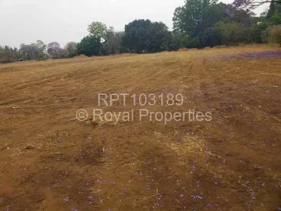 Land for Sale in Marlborough
