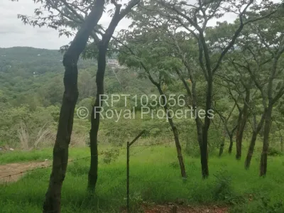Land for Sale in Glen Lorne