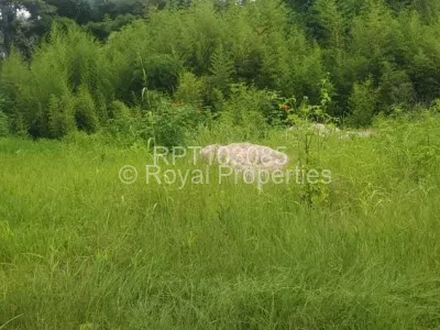 Land for Sale in Quinnington