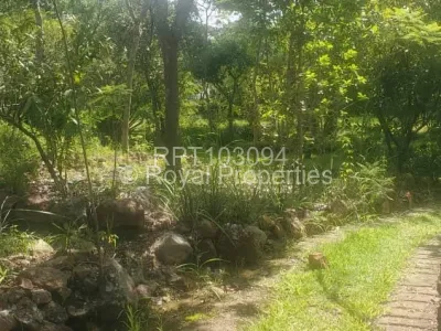Land for Sale in Glen Lorne