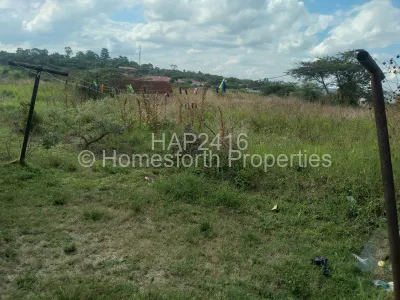 Stand for Sale in Rydale Ridge