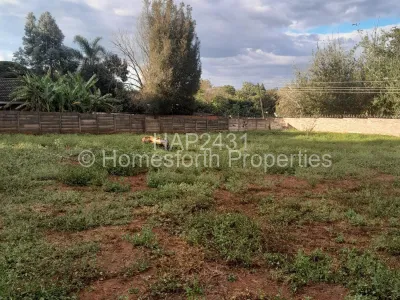 Stand for Sale in Kamfinsa
