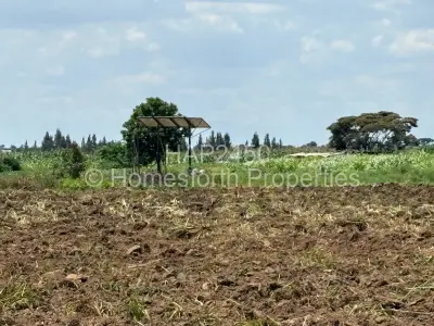 Farm/Plot For Sale in Rainham