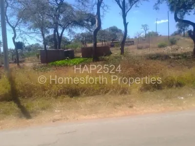 Stand for Sale in Shawasha Hills