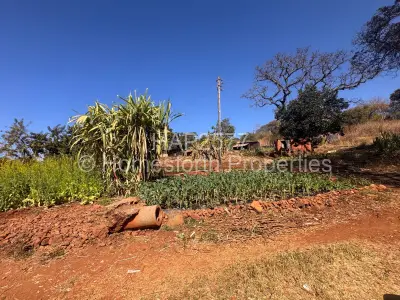 Stand for Sale in Borrowdale Brooke