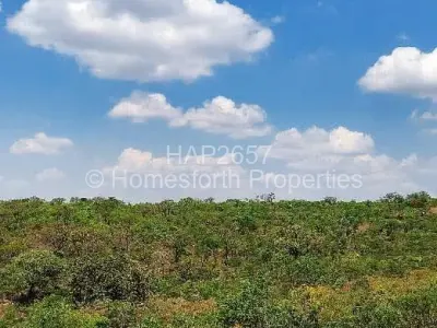 Stand for Sale in Pomona