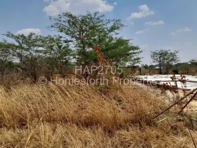 Stand for Sale in Norton