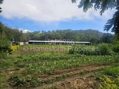 Farm/Plot For Sale in Umwinsidale