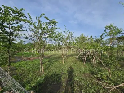 Farm/Plot For Sale in Kadoma