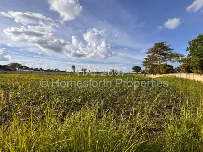 Farm/Plot For Sale in Norton