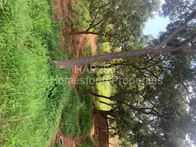 Residential Stand For Sale in Gletwin Park