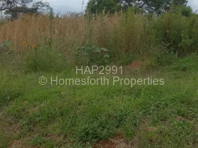 Residential Stand For Sale in Borrowdale Brooke