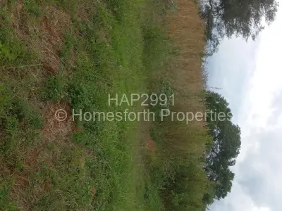 Residential Stand For Sale in Borrowdale Brooke