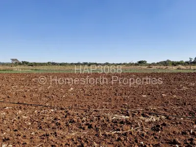 Farm/Plot For Sale in Montrose