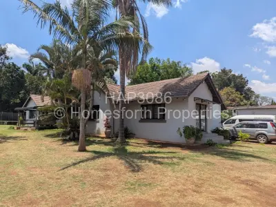 House For Sale in Alexandra Park