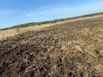 Farm/Plot For Sale in Gutu