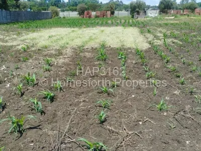 Residential Stand For Sale in Greendale North